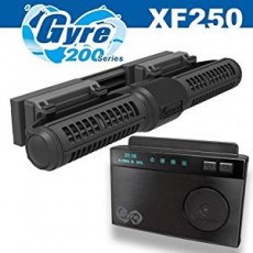 MAXPECT Gyre XFB-250 (com controlador)